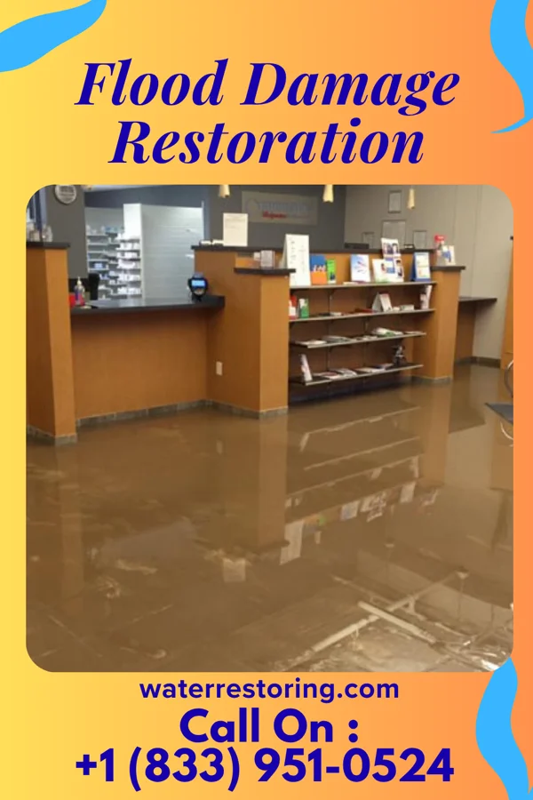 Flood Damage Restoration in Lido Beach, NY