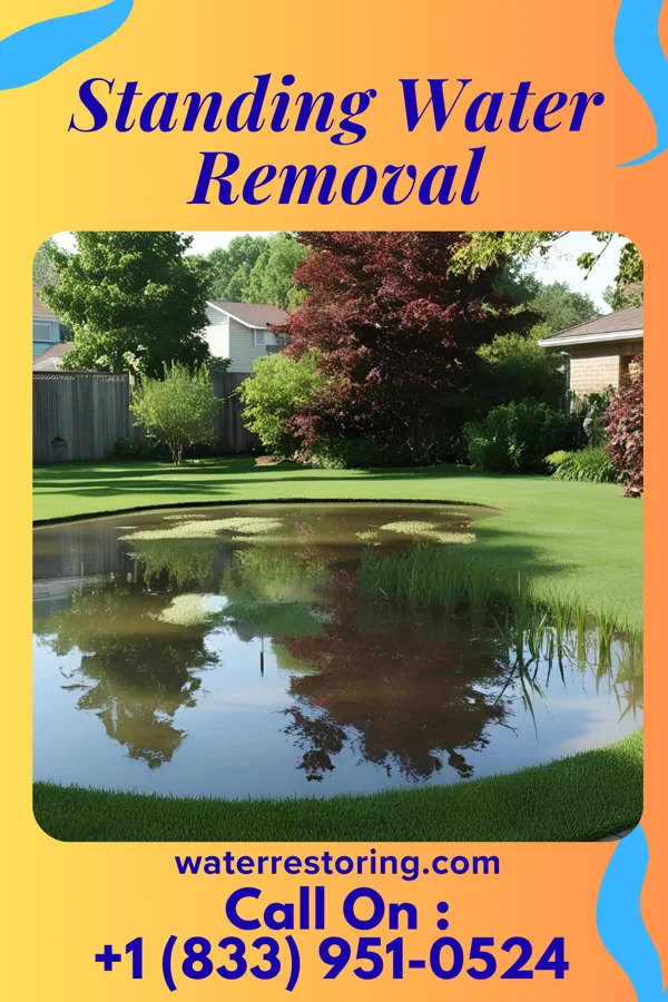 Standing Water Removal in Lido Beach, NY